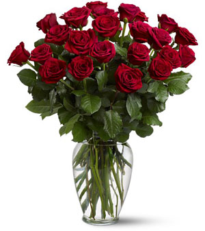 The Finest Roses in The Toronto Area - Toronto Rose Delivery